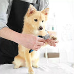 Pawtential™ Professional Nail Trimmer