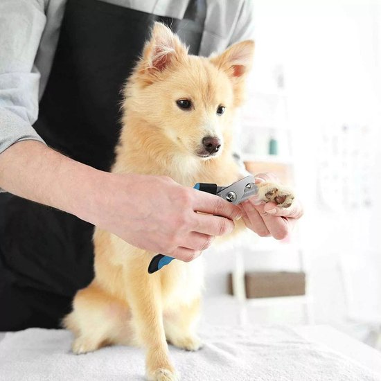 Pawtential™ Professional Nail Trimmer