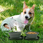 Pawtential™ Adventure Essentials Set