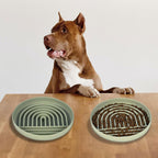 Pawtential™ Slow Feeder Bowl