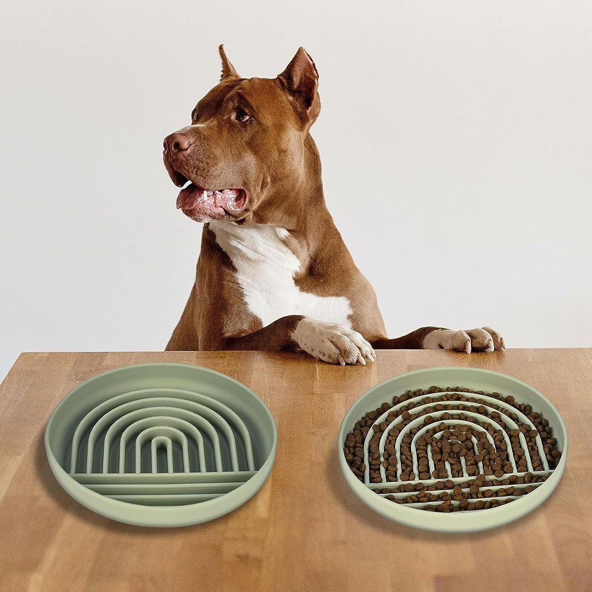 Pawtential™ Slow Feeder Bowl