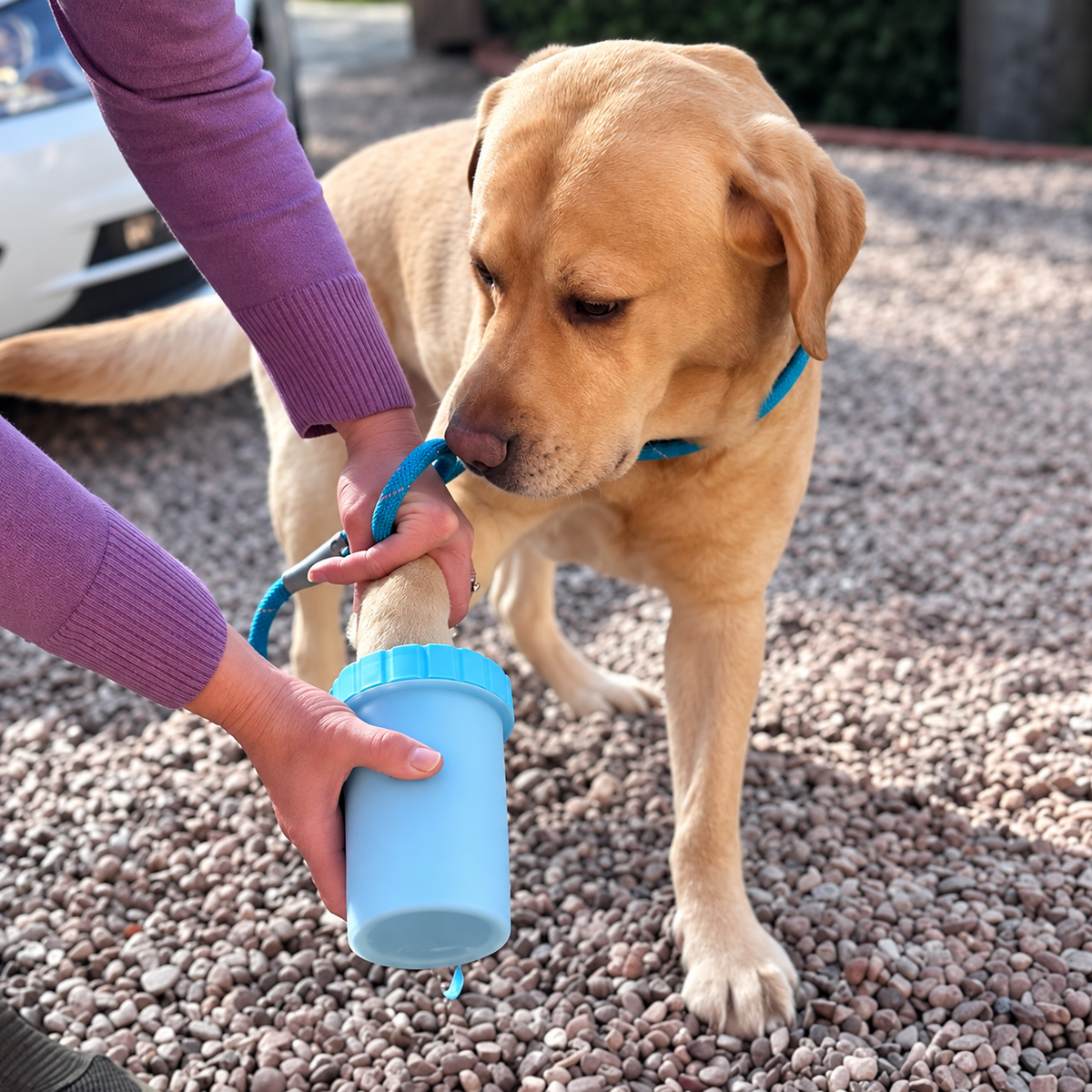 Pawtential™ Paw Cleaning cup