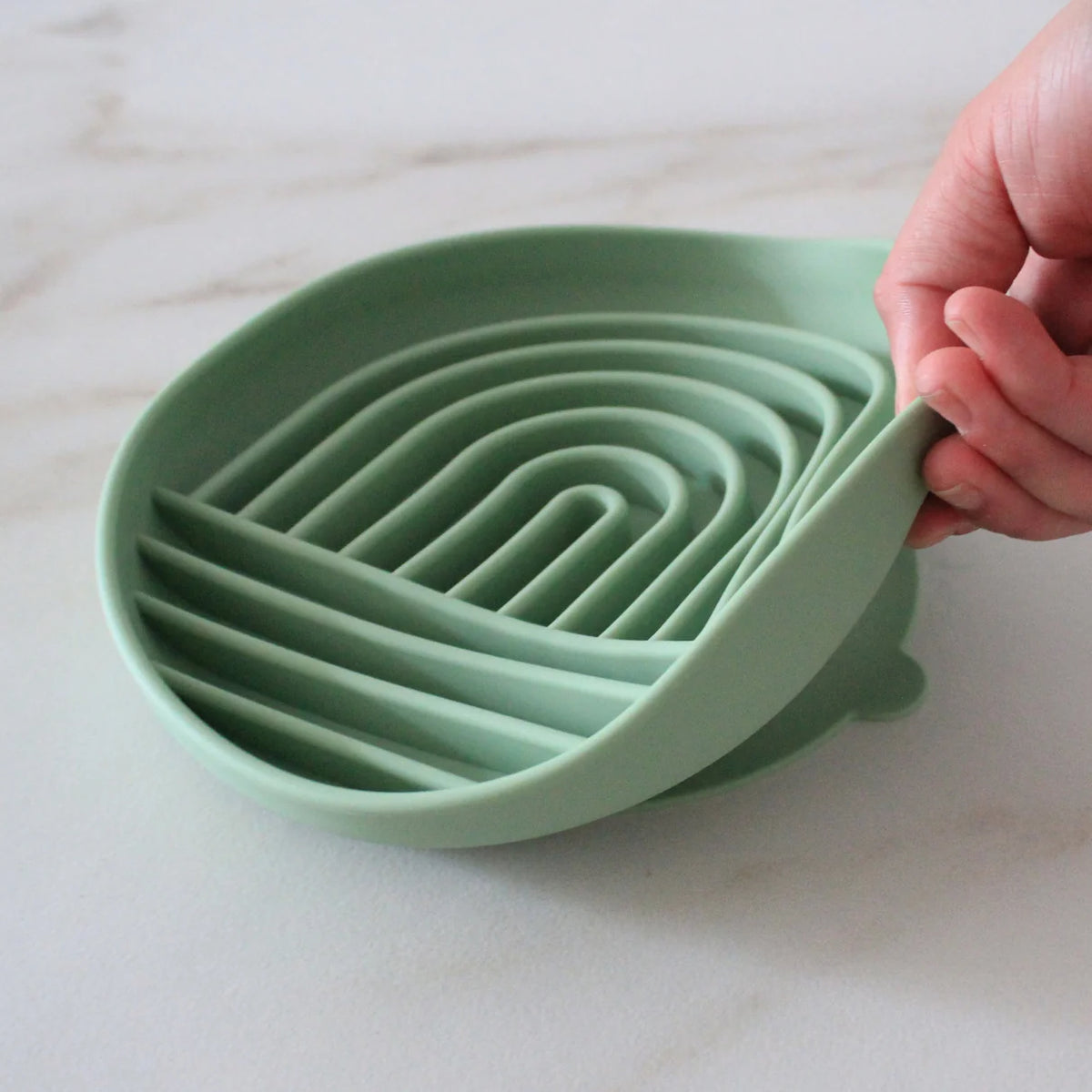 Pawtential™ Slow Feeder Bowl