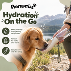 Pawtential™ Ultimate Dog Walk Set