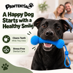Pawtential™ Complete Dog Care Bundle