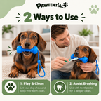 Pawtential™ Complete Dog Care Bundle