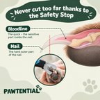 Pawtential™ Complete Dog Care Bundle