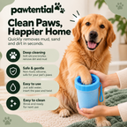 Pawtential™ Ultimate Dog Walk Set