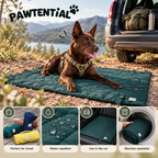 Pawtential™ Adventure Paws Travel Set