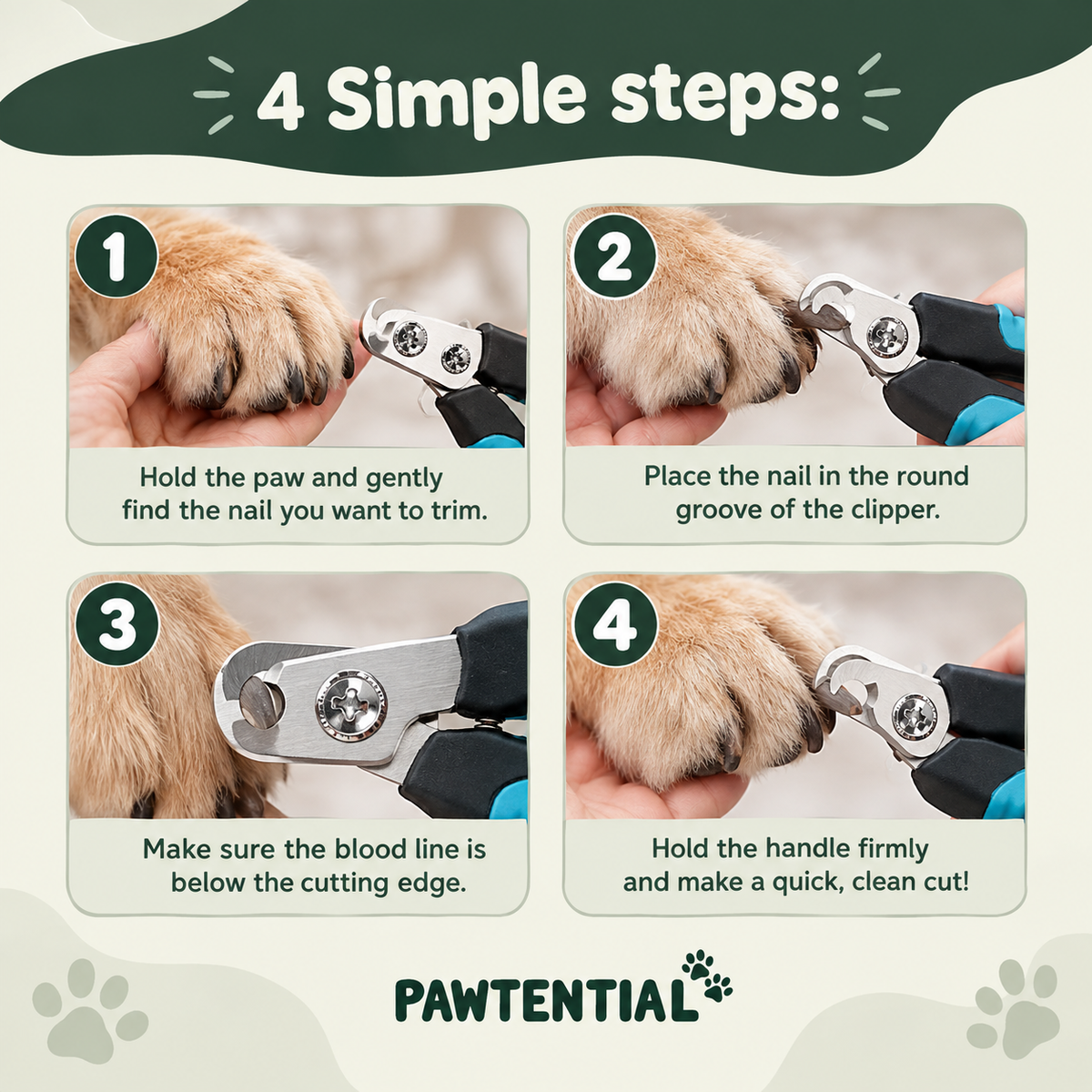 Pawtential™ Complete Dog Care Bundle