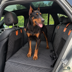 Pawtential™ RoadBase 2.0 – Hard-Bottom Dog Car Seat Protector