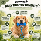 Pawtential™ Complete Dog Care Bundle