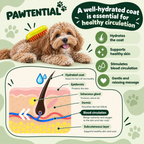 Pawtential™ MistGroom - Pet Grooming Brush