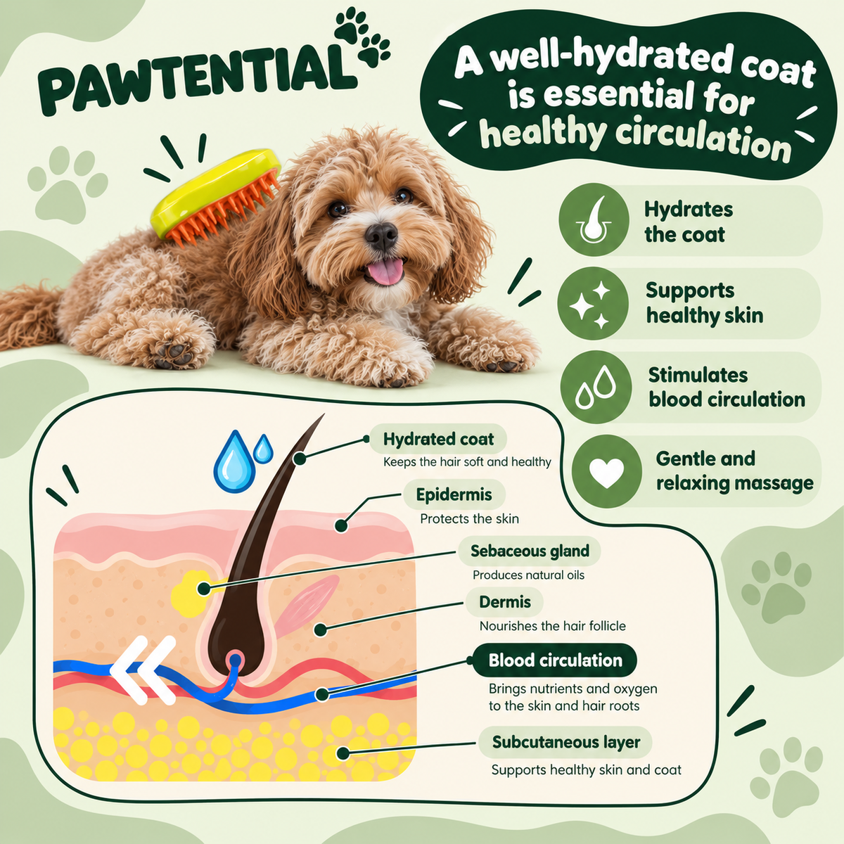 Pawtential™ MistGroom - Pet Grooming Brush