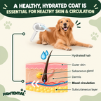 Pawtential™ Fresh Coat Starter Kit