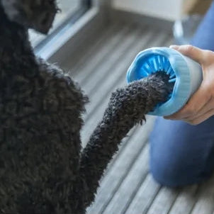 Pawtential™ Paw Cleaning cup